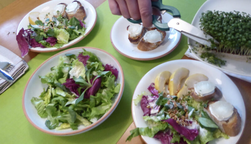 Sprossensalat01