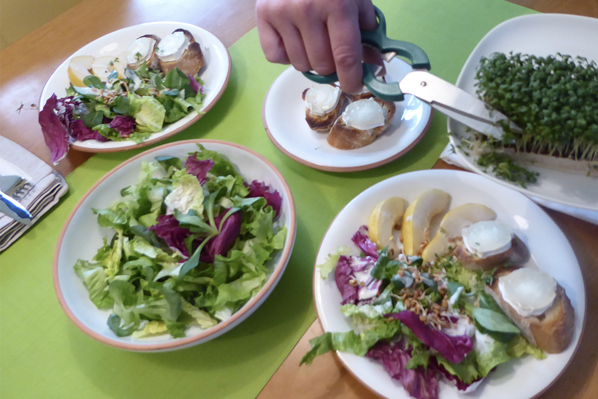 Salat mit Sprossen und Ziegenkäse – Marktbummel Aschaffenburg ...