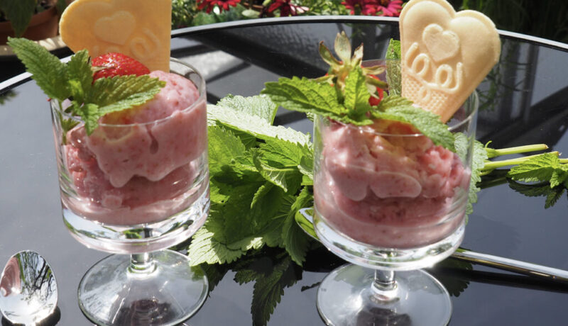 Erdbeersorbet01