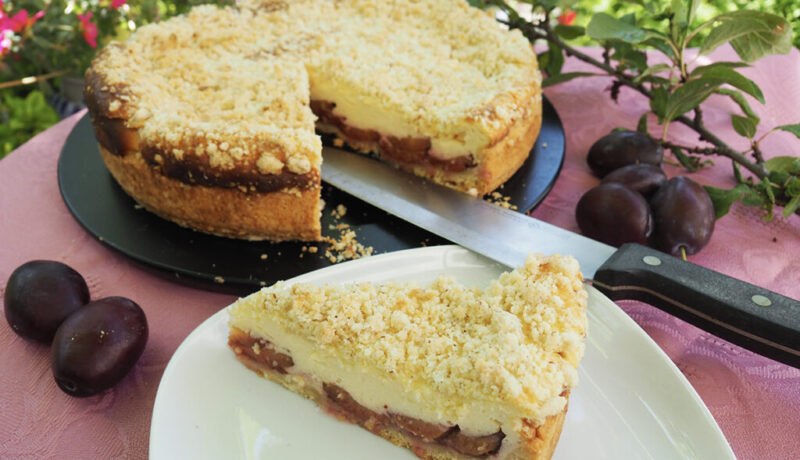 Käsekuchen-Zwetschgen