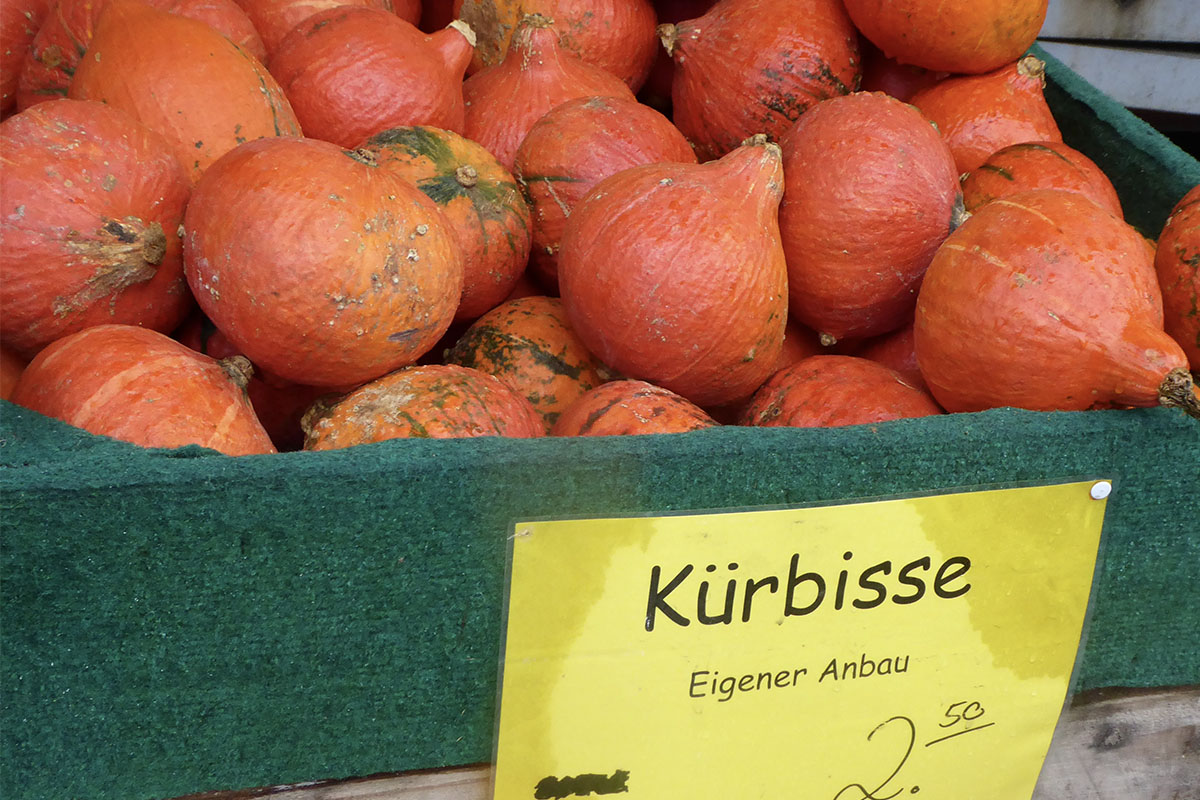 Von Christbäumen und Festtagsplänen – Marktbummel Aschaffenburg ...